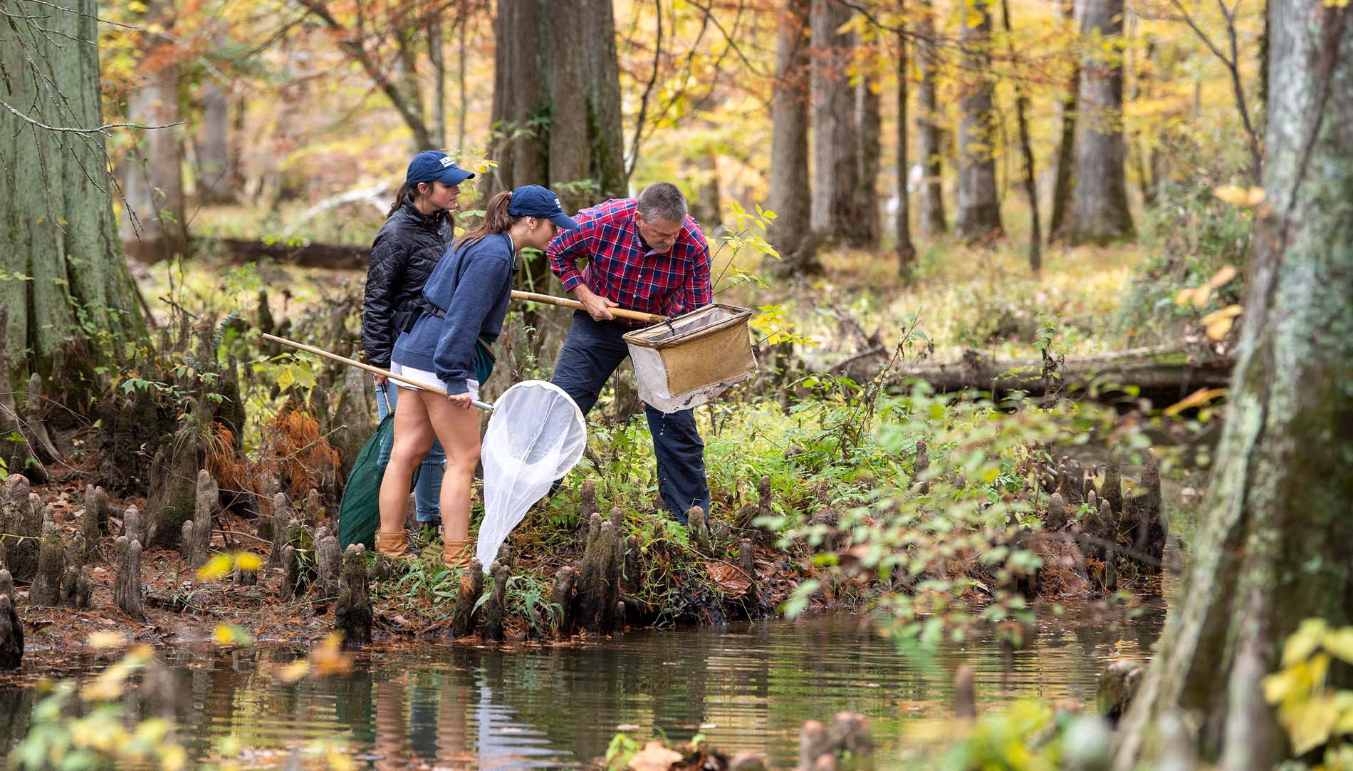 two students and a professor standing in a swamp looking inside a net